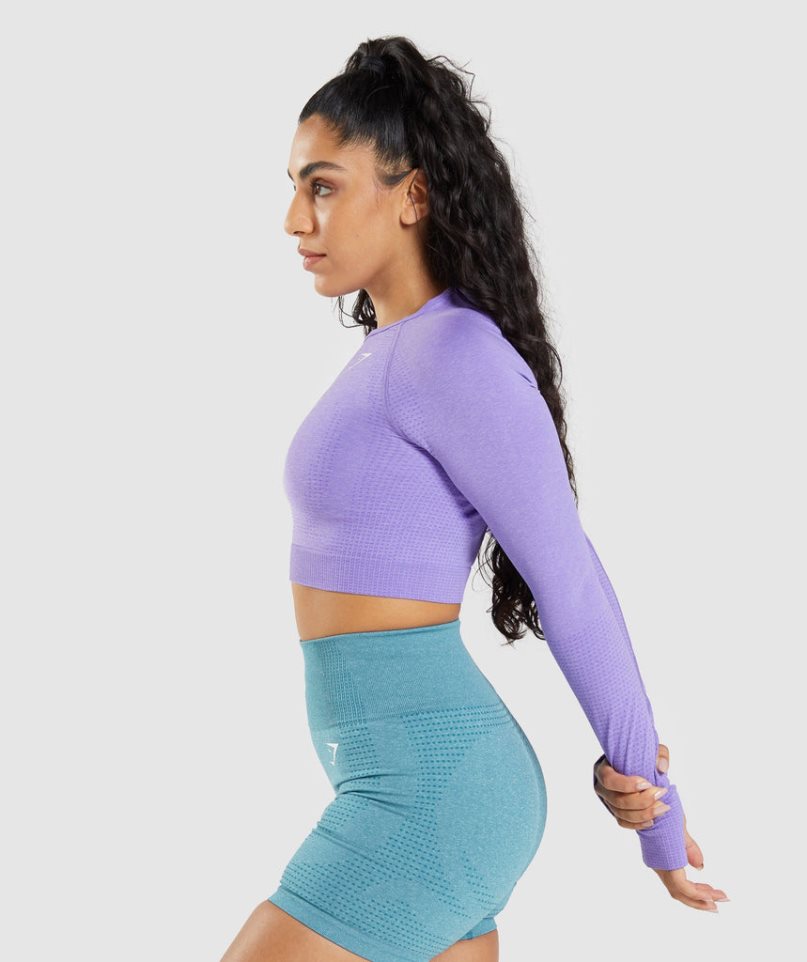 Camisa Recortada Gymshark Vital Seamless 2.0 Long Sleeve Mujer Lavanda | ES0913-WC