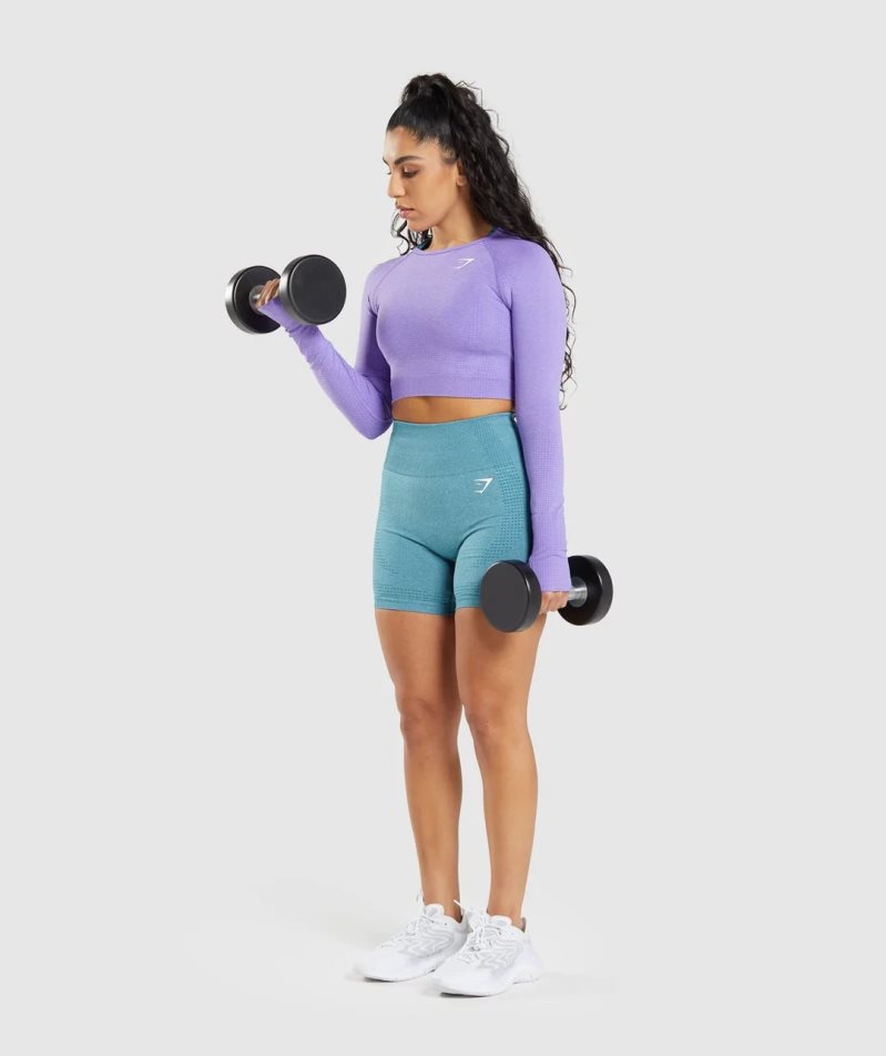 Camisa Recortada Gymshark Vital Seamless 2.0 Long Sleeve Mujer Lavanda | ES0913-WC