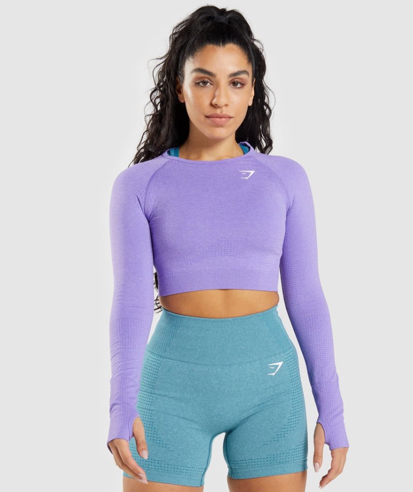 Camisa Recortada Gymshark Vital Seamless 2.0 Long Sleeve Mujer Lavanda | ES0913-WC