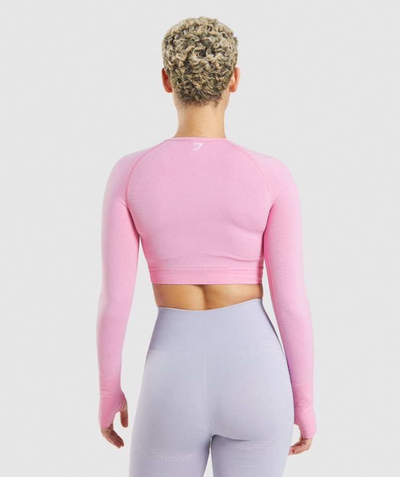 Camisa Recortada Gymshark Vital Seamless 2.0 Mujer Rosas | ES1605-UA