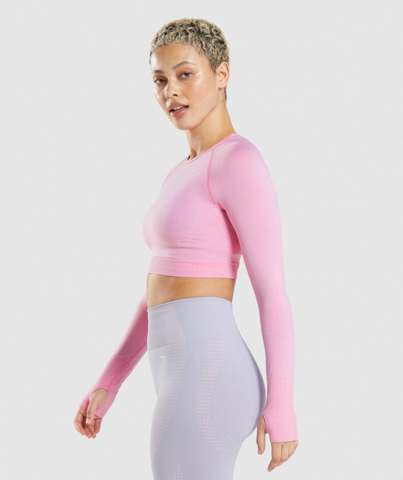 Camisa Recortada Gymshark Vital Seamless 2.0 Mujer Rosas | ES1605-UA