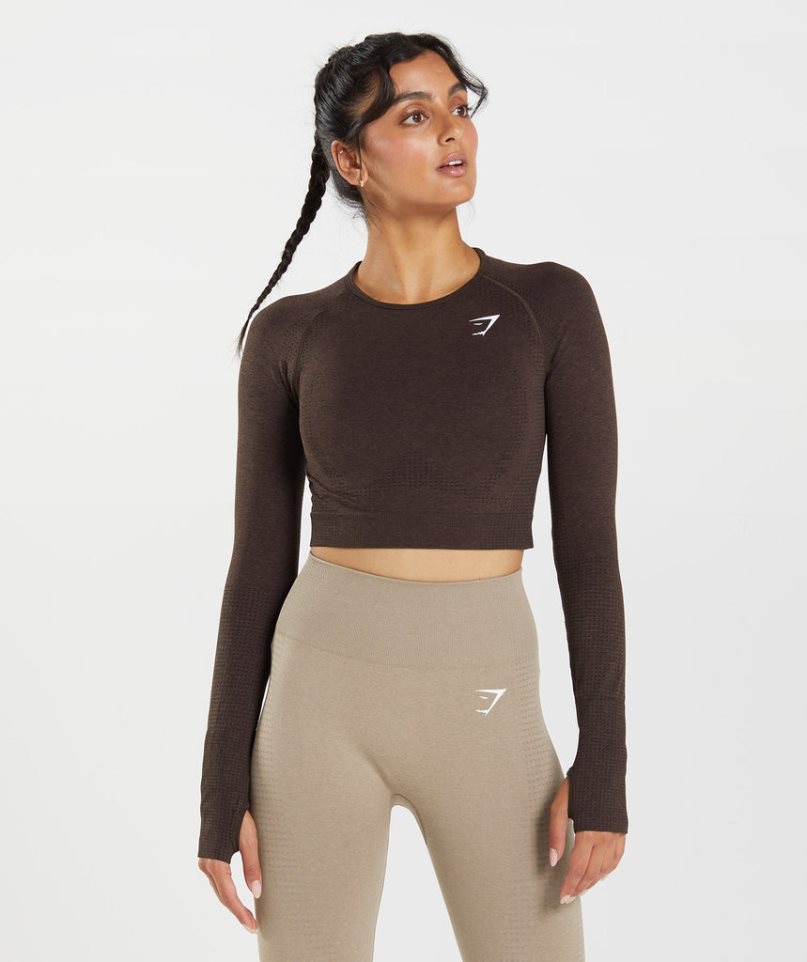 Camisa Recortada Gymshark Vital Seamless 2.0 Mujer Chocolate | ES3421-EM