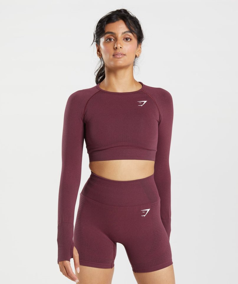 Camisa Recortada Gymshark Vital Seamless 2.0 Mujer Burdeos | ES5807-WK