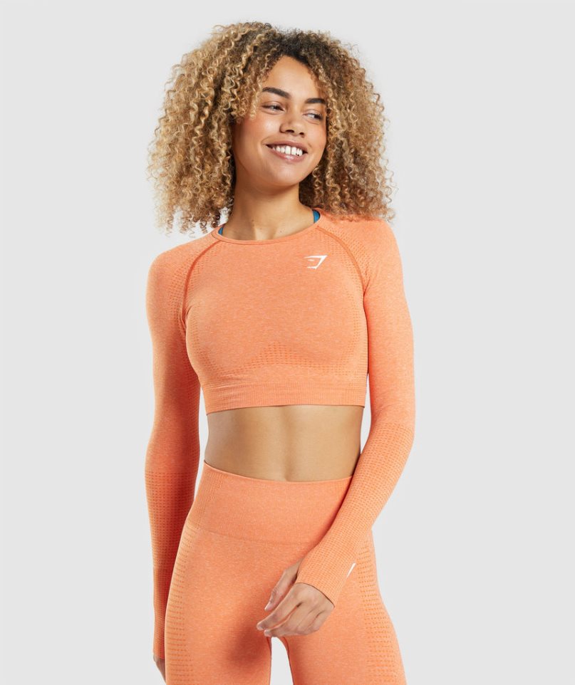 Camisa Recortada Gymshark Vital Seamless 2.0 Long Sleeve Mujer Naranjas | ES8204-OS