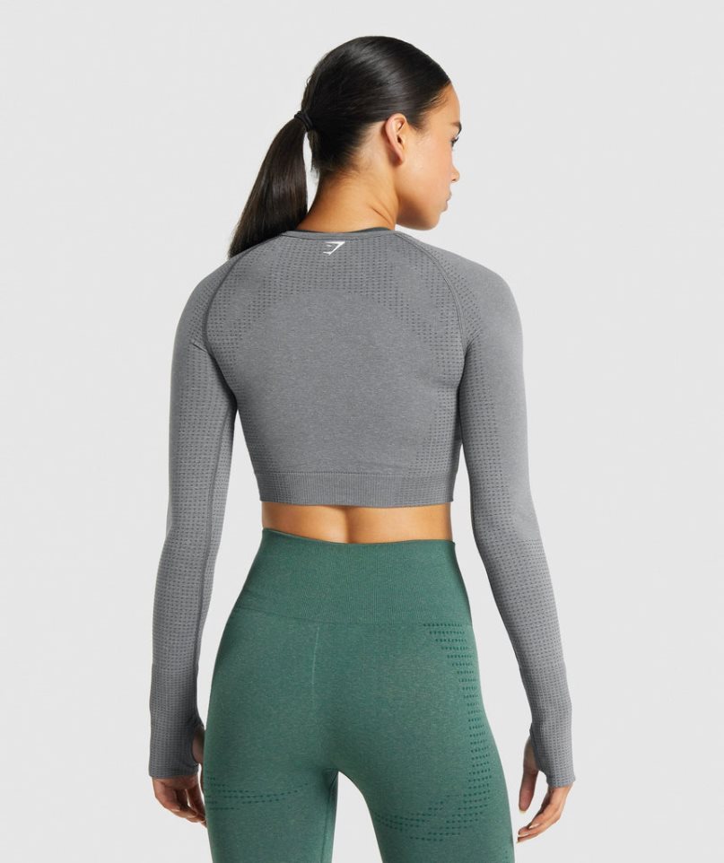 Camisa Recortada Gymshark Vital Seamless 2.0 Long Sleeve Mujer Gris | ES8650-DN