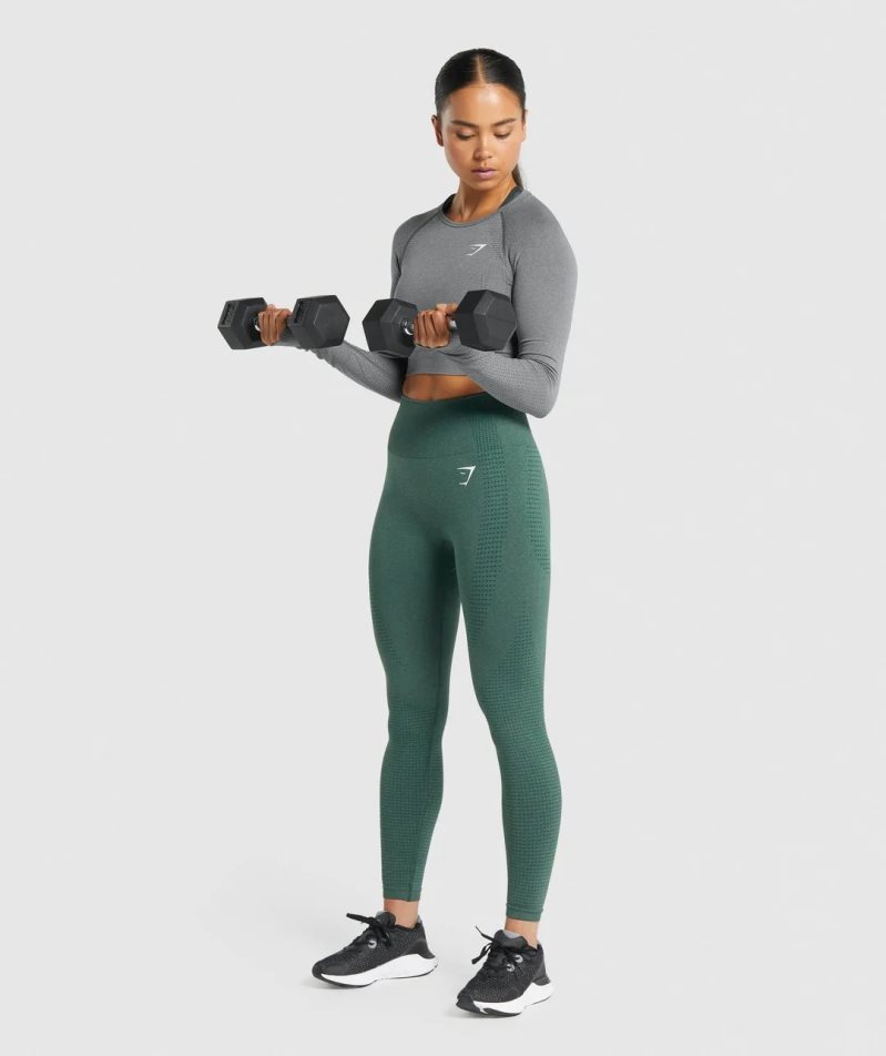 Camisa Recortada Gymshark Vital Seamless 2.0 Long Sleeve Mujer Gris | ES8650-DN