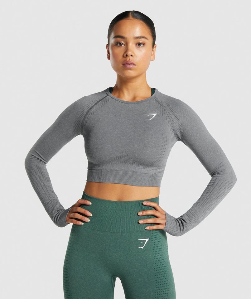 Camisa Recortada Gymshark Vital Seamless 2.0 Long Sleeve Mujer Gris | ES8650-DN