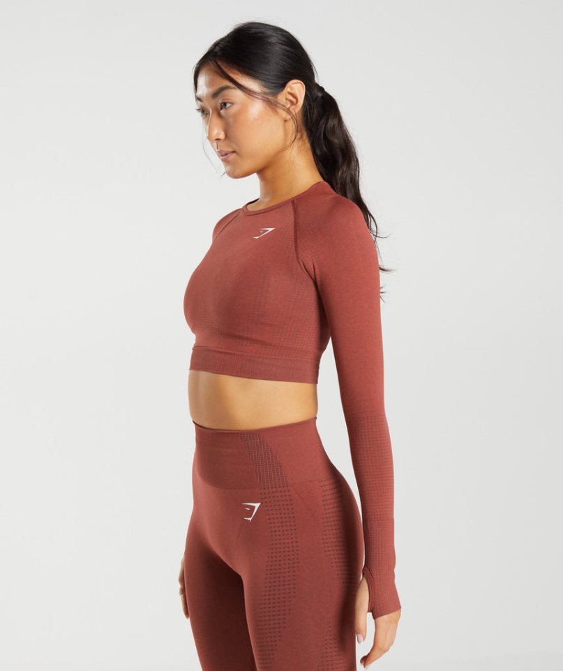 Camisa Recortada Gymshark Vital Seamless 2.0 Mujer Marrones | ES9762-QL