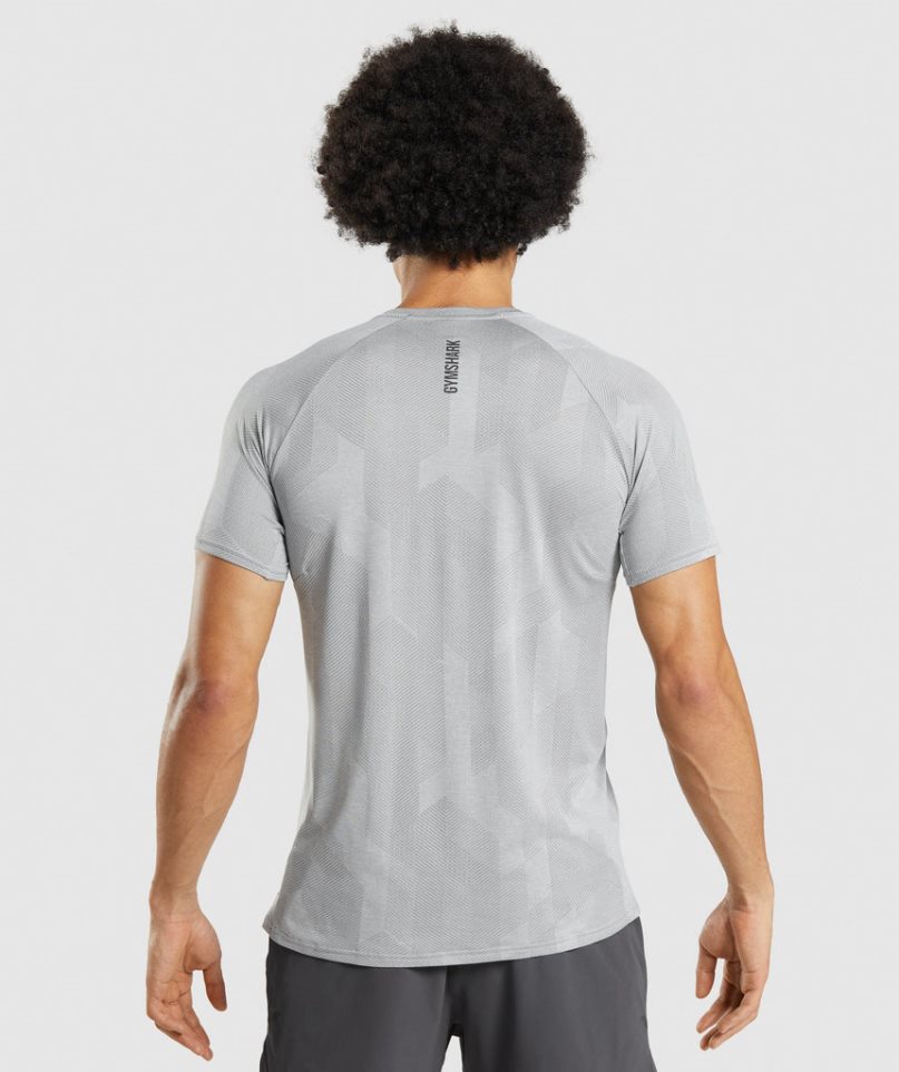 Camiseta Gymshark Apex Hombre Gris Claro | ES8324-DO