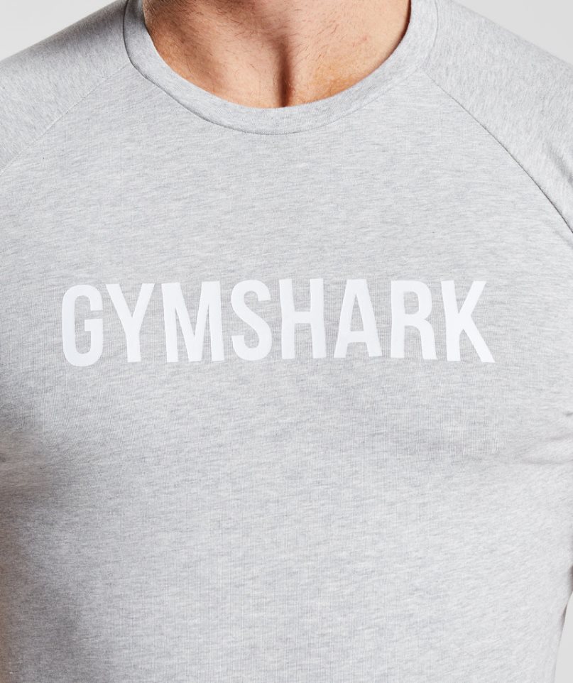 Camiseta Gymshark Apollo Hombre Gris Claro | ES2657-KR