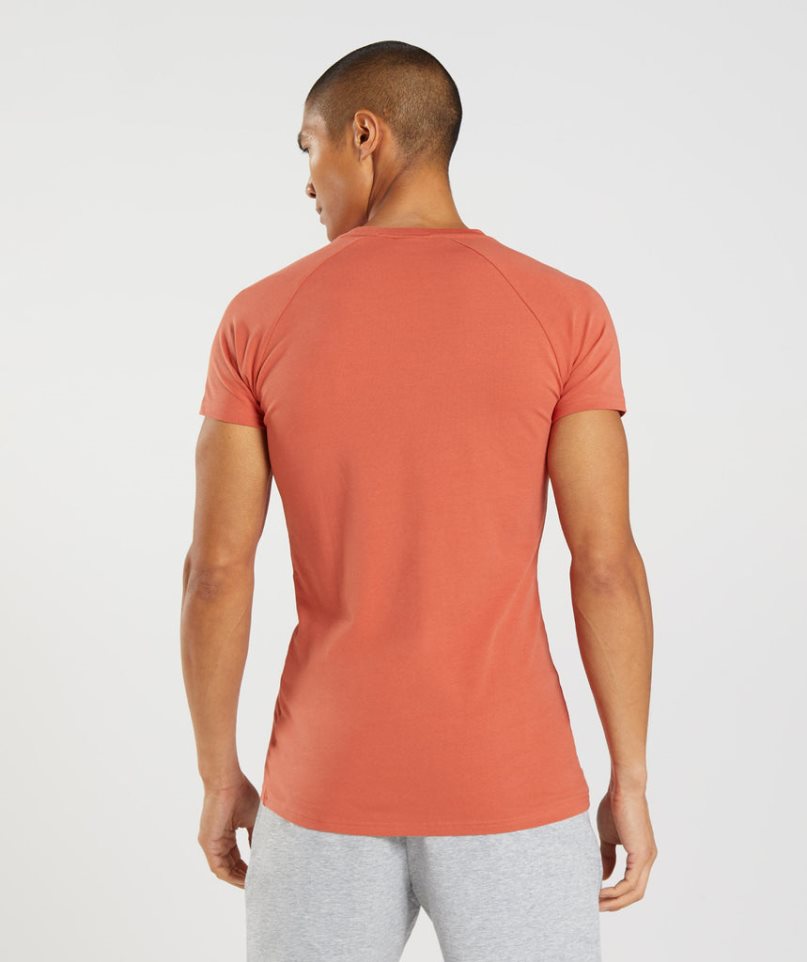 Camiseta Gymshark Apollo Hombre Naranjas | ES7013-NL