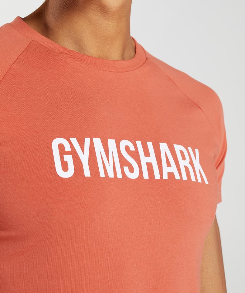 Camiseta Gymshark Apollo Hombre Naranjas | ES7013-NL