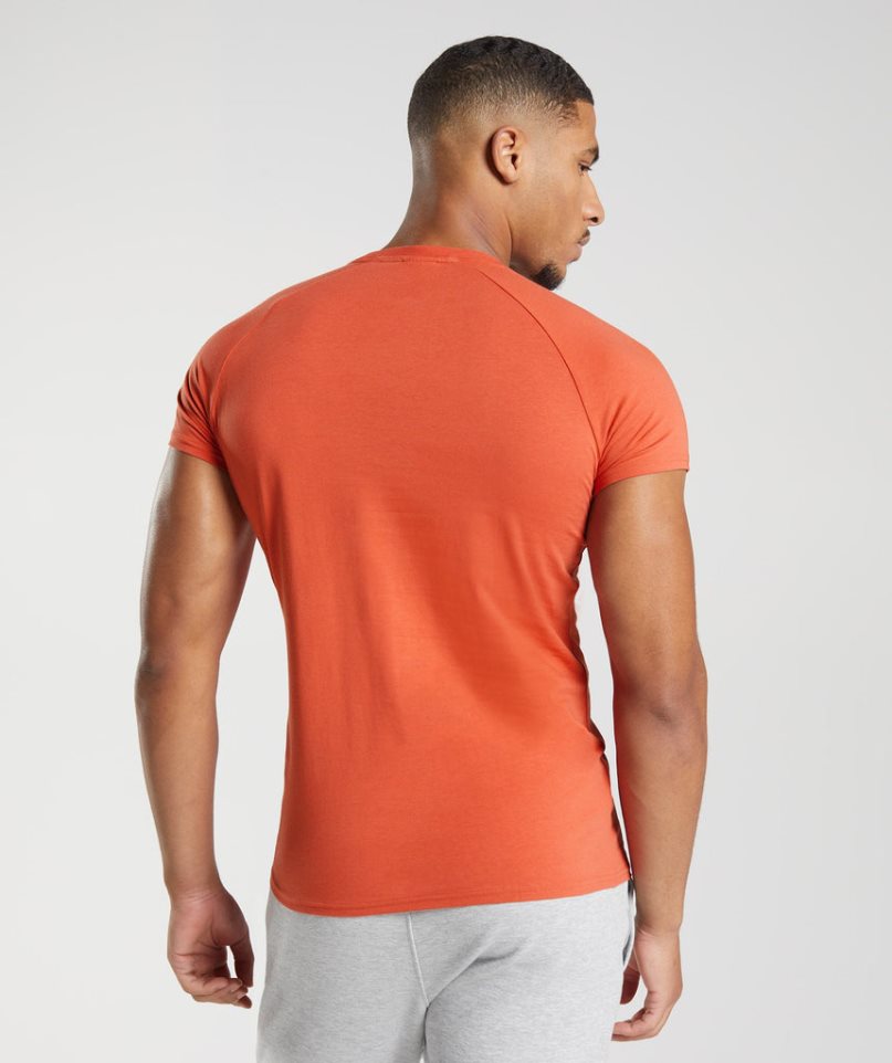 Camiseta Gymshark Apollo Hombre Naranjas | ES9572-AN