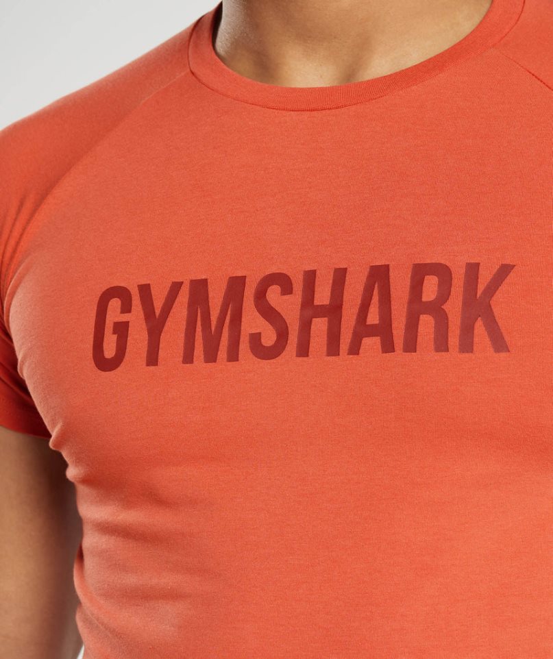 Camiseta Gymshark Apollo Hombre Naranjas | ES9572-AN