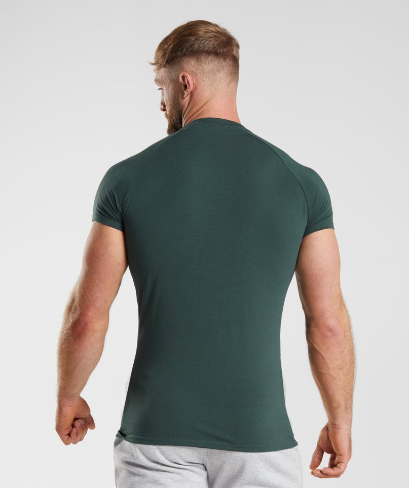 Camiseta Gymshark Apollo Hombre Verde | ES7853-FI