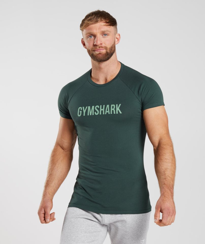 Camiseta Gymshark Apollo Hombre Verde | ES7853-FI