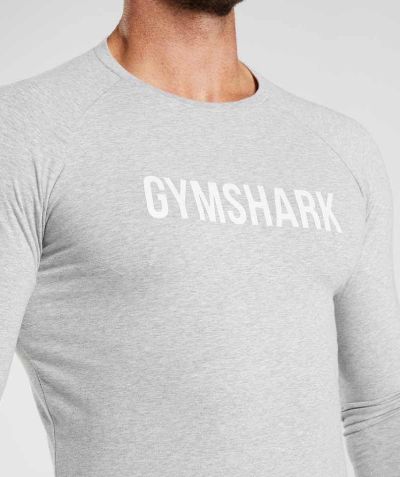 Camiseta Gymshark Apollo Long Sleeve Hombre Gris Claro | ES1296-CF