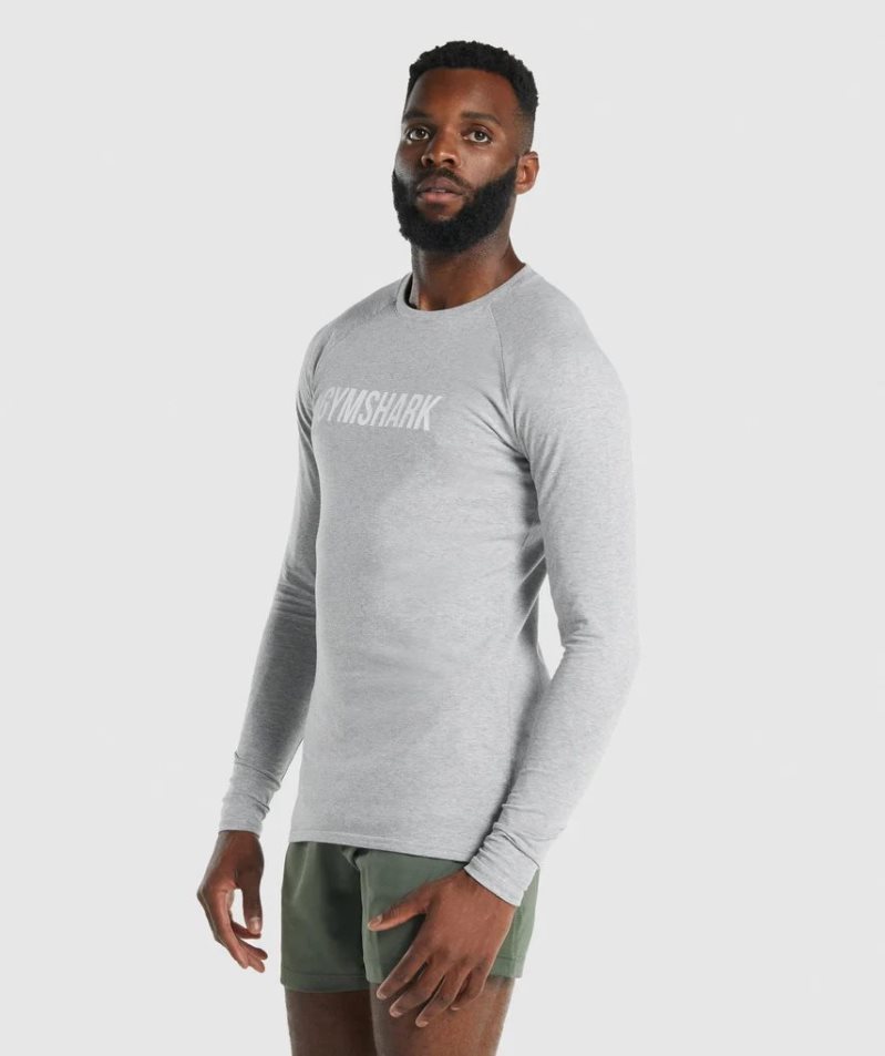 Camiseta Gymshark Apollo Long Sleeve Hombre Gris Claro | ES3827-LO