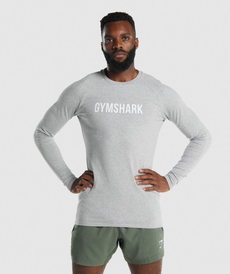 Camiseta Gymshark Apollo Long Sleeve Hombre Gris Claro | ES3827-LO