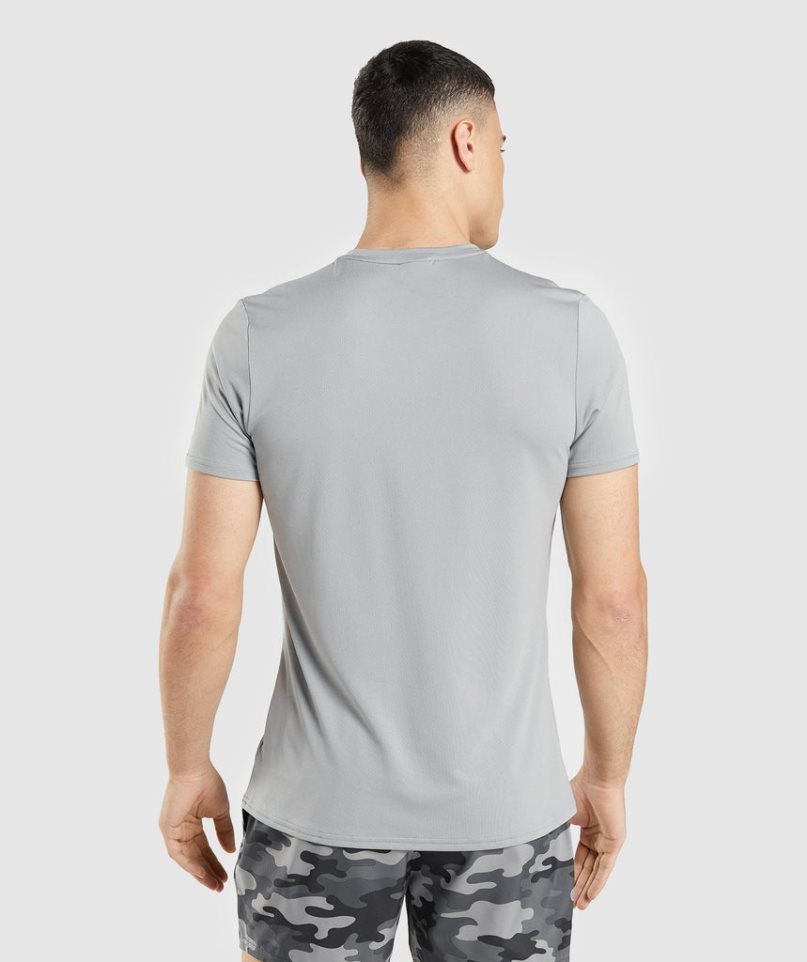 Camiseta Gymshark Arrival Estampadas Hombre Gris Claro | ES1546-GA