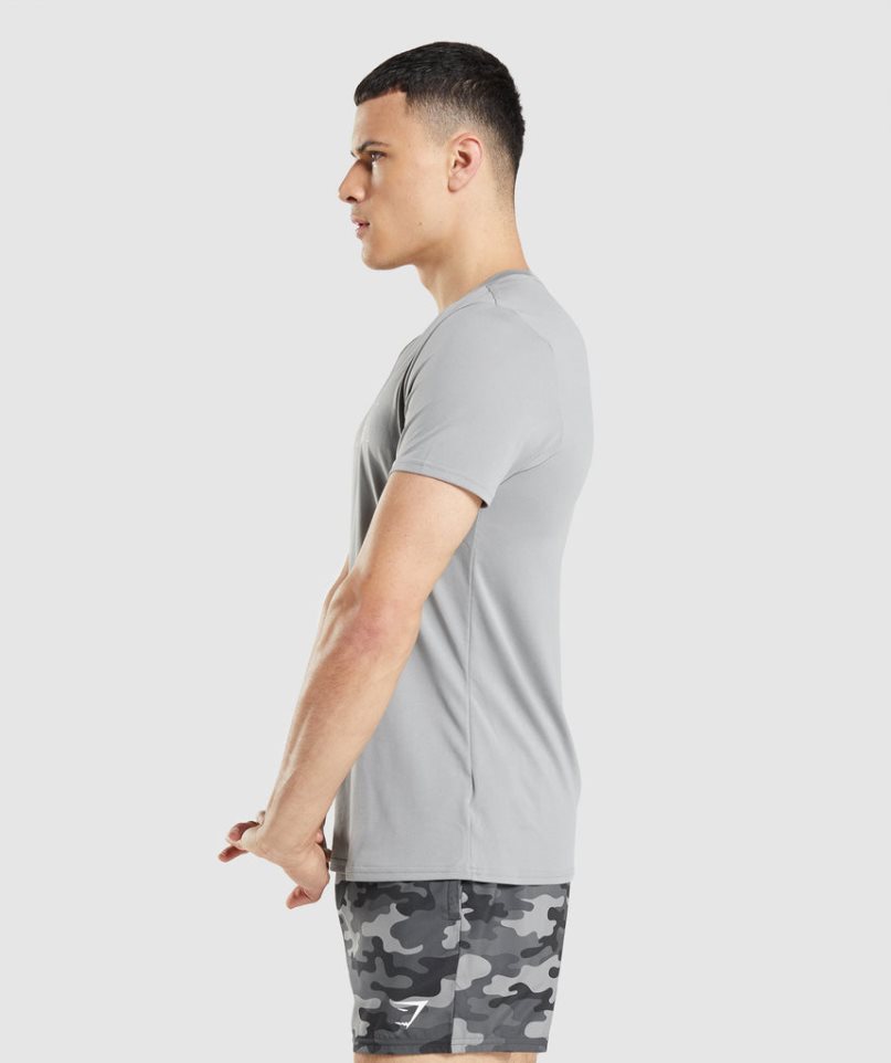 Camiseta Gymshark Arrival Estampadas Hombre Gris Claro | ES1546-GA