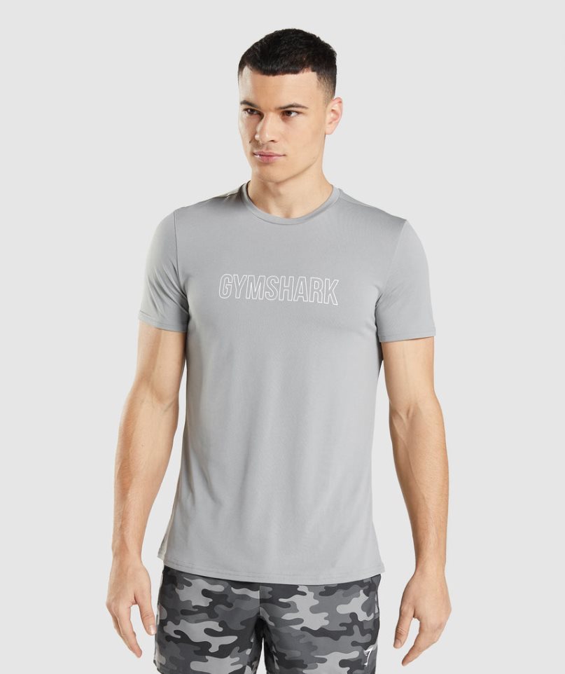 Camiseta Gymshark Arrival Estampadas Hombre Gris Claro | ES1546-GA