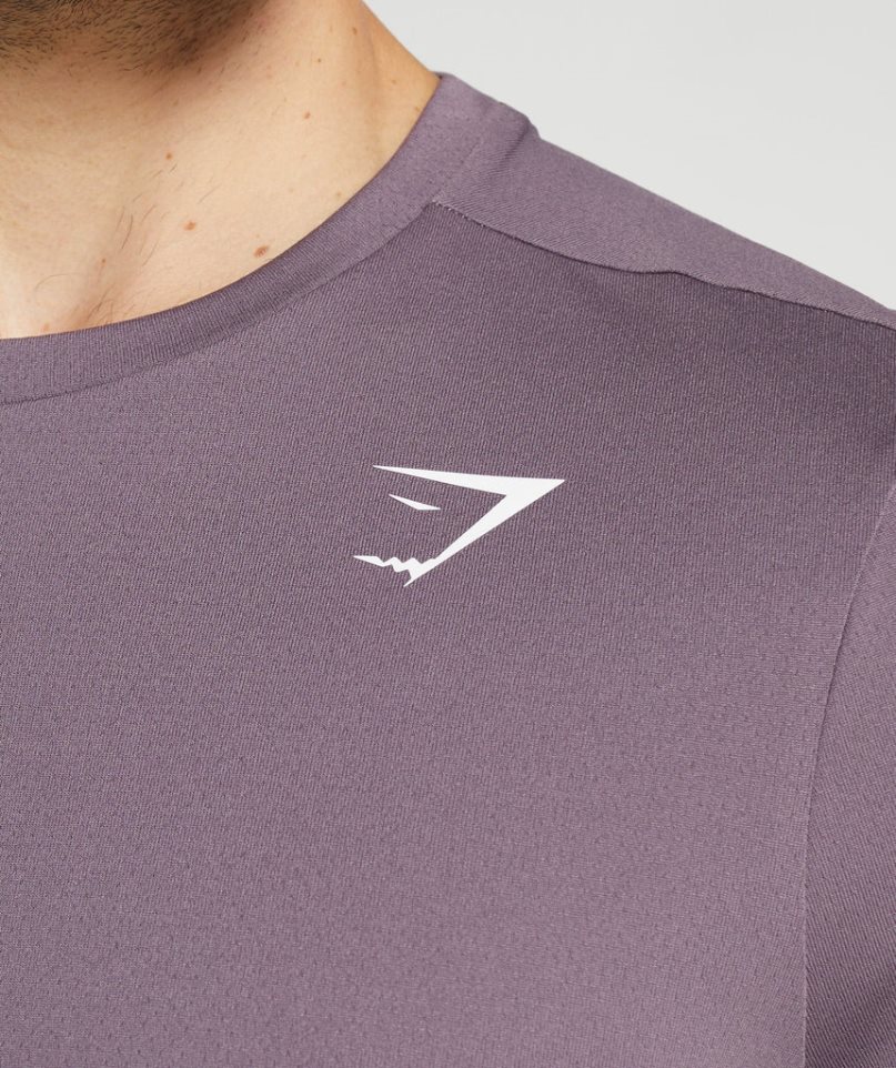 Camiseta Gymshark Arrival Hombre Moradas | ES0987-SO