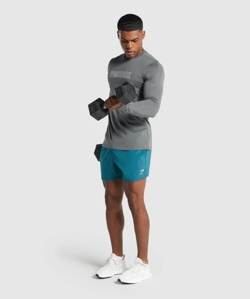 Camiseta Gymshark Arrival Long Sleeve Estampadas Hombre Gris | ES0492-IE