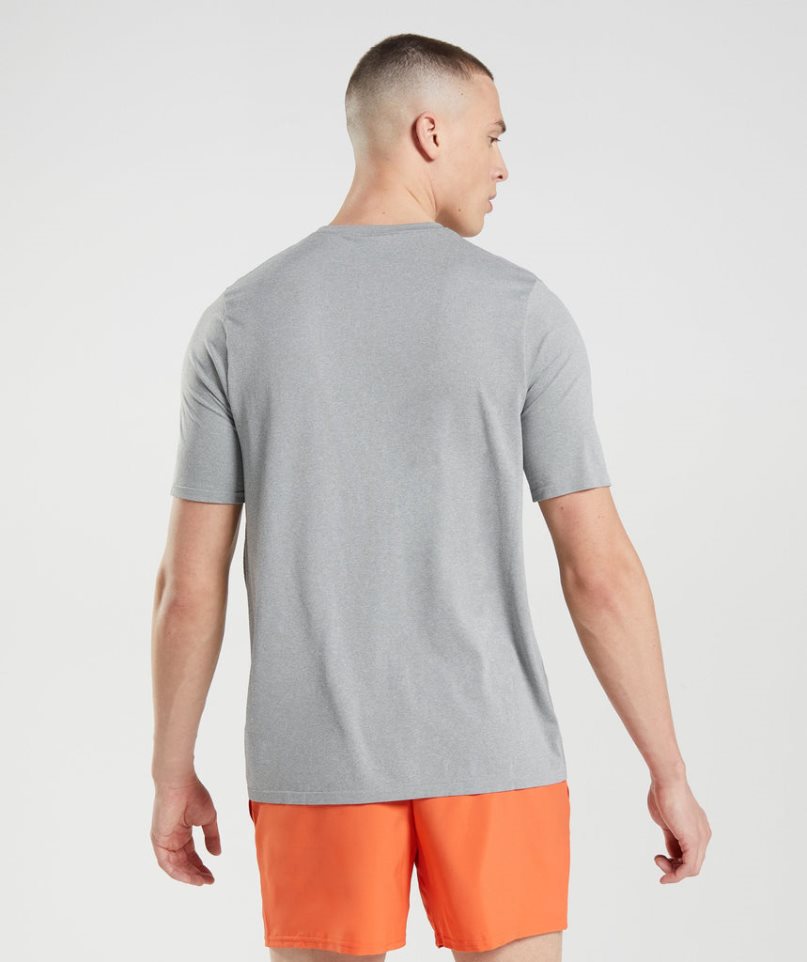 Camiseta Gymshark Arrival Seamless Hombre Gris Claro | ES8924-QU