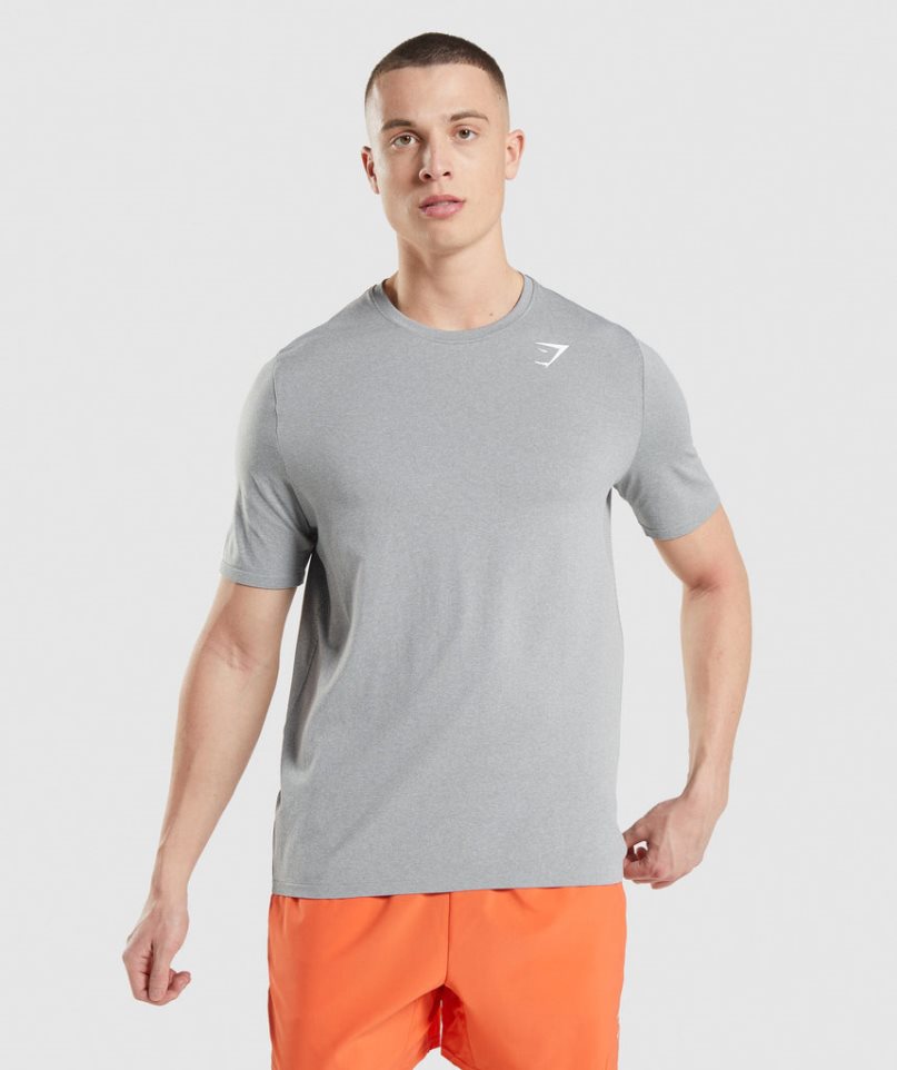 Camiseta Gymshark Arrival Seamless Hombre Gris Claro | ES8924-QU