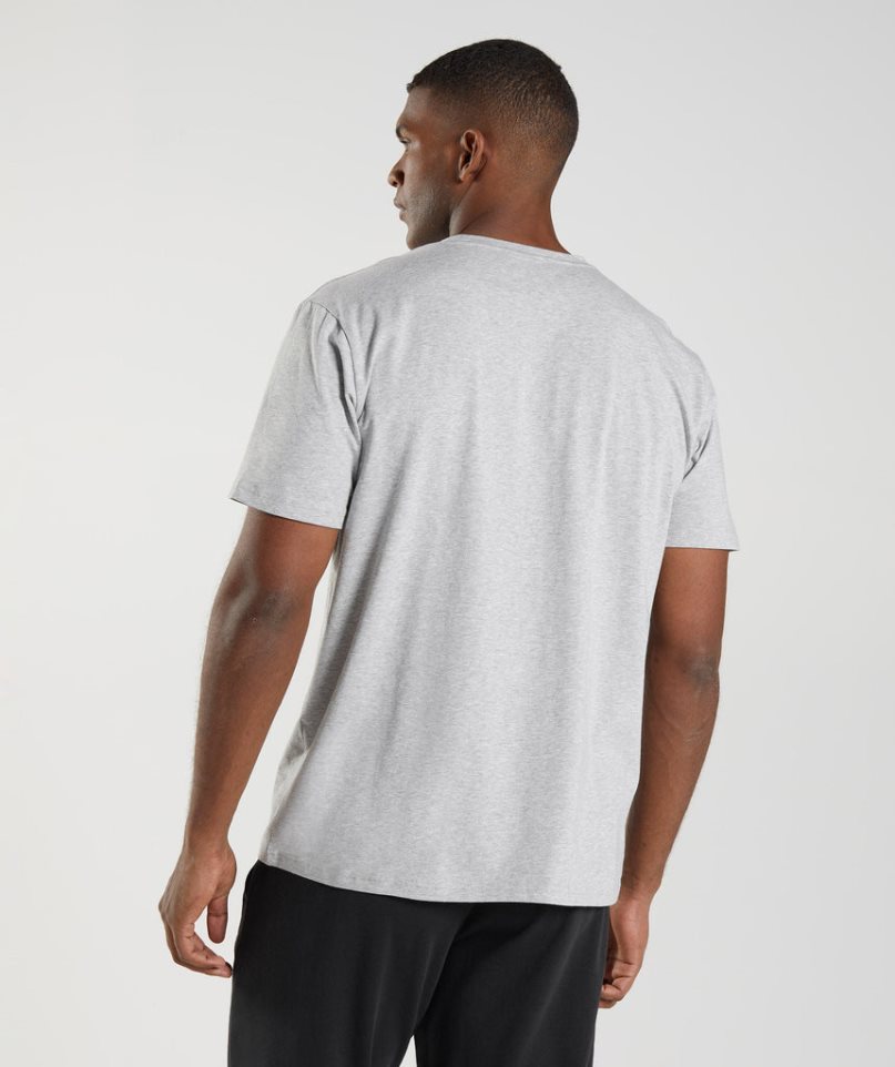 Camiseta Gymshark Block Hombre Gris Claro | ES7820-MB