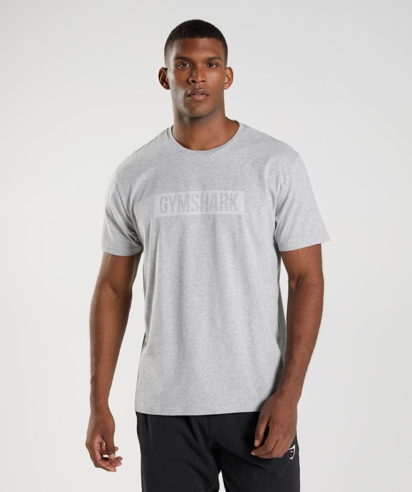 Camiseta Gymshark Block Hombre Gris Claro | ES7820-MB