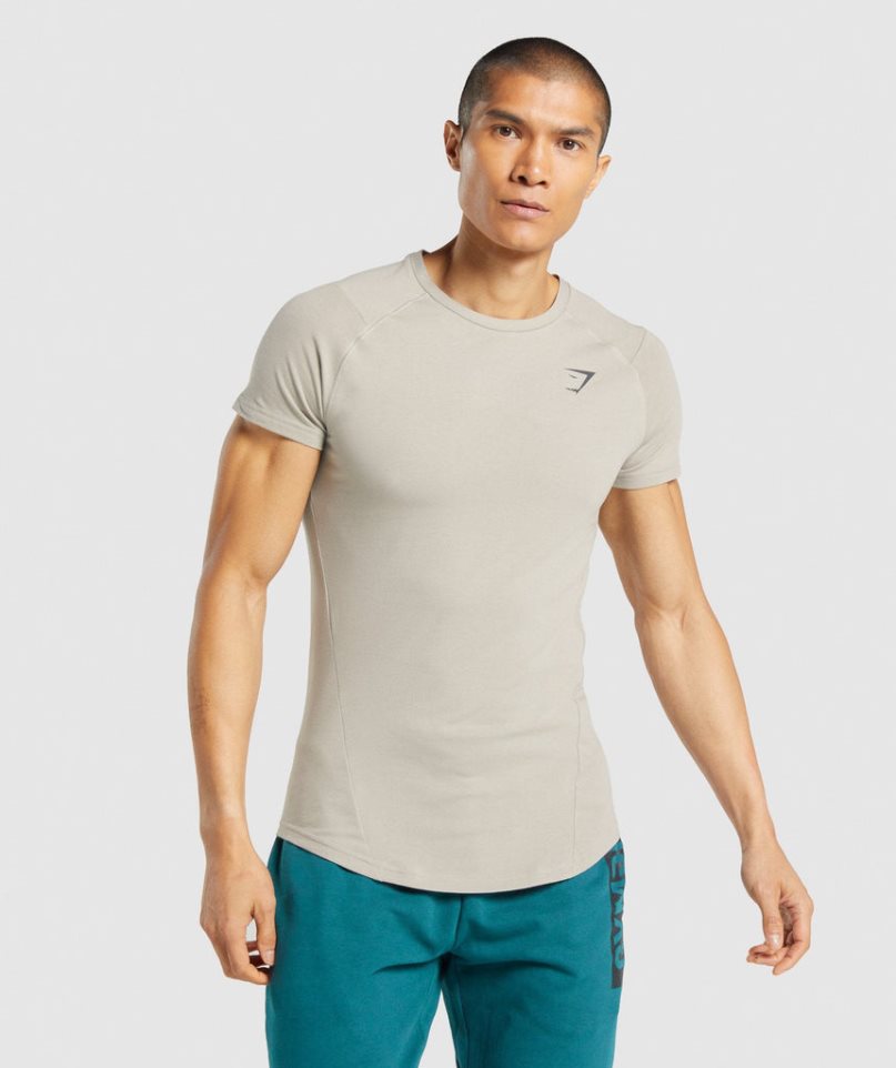 Camiseta Gymshark Bold Hombre Gris | ES5429-LA