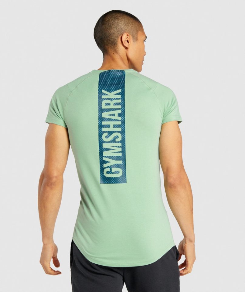 Camiseta Gymshark Bold Hombre Verde | ES4083-FQ