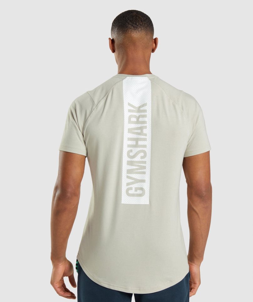 Camiseta Gymshark Bold Hombre Verde Menta | ES4689-RB