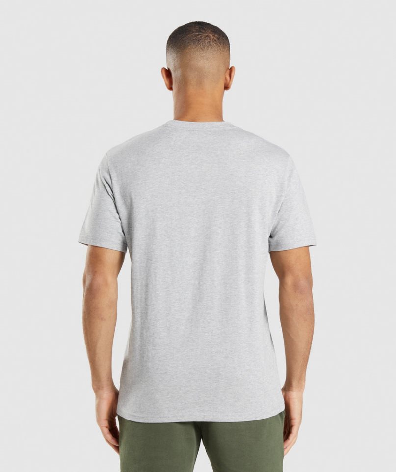 Camiseta Gymshark Crest Hombre Gris Claro | ES8790-JZ