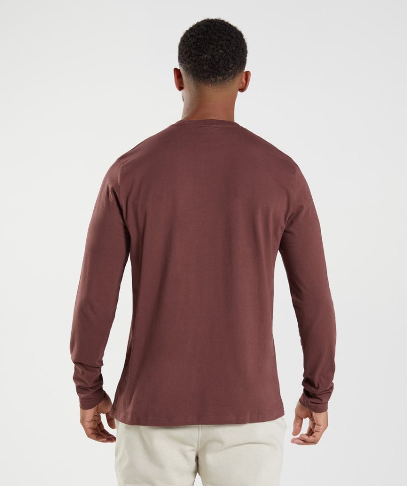 Camiseta Gymshark Crest Long Sleeve Hombre Marrones | ES4859-HX