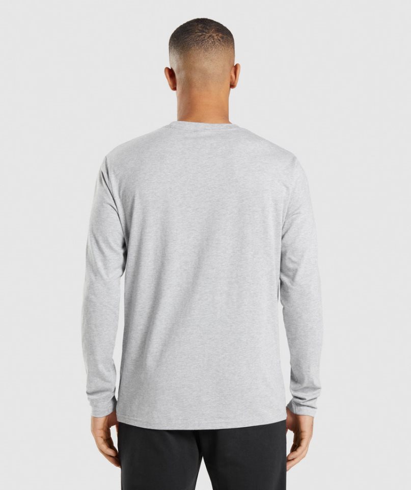 Camiseta Gymshark Crest Long Sleeve Hombre Gris Claro | ES6984-VL