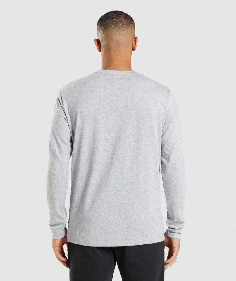 Camiseta Gymshark Crest Long Sleeve Hombre Gris Claro | ES8506-CZ