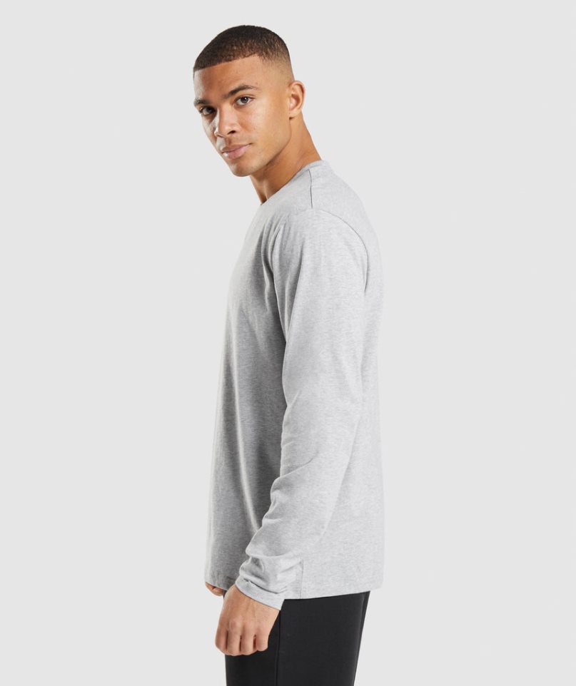 Camiseta Gymshark Crest Long Sleeve Hombre Gris Claro | ES8506-CZ