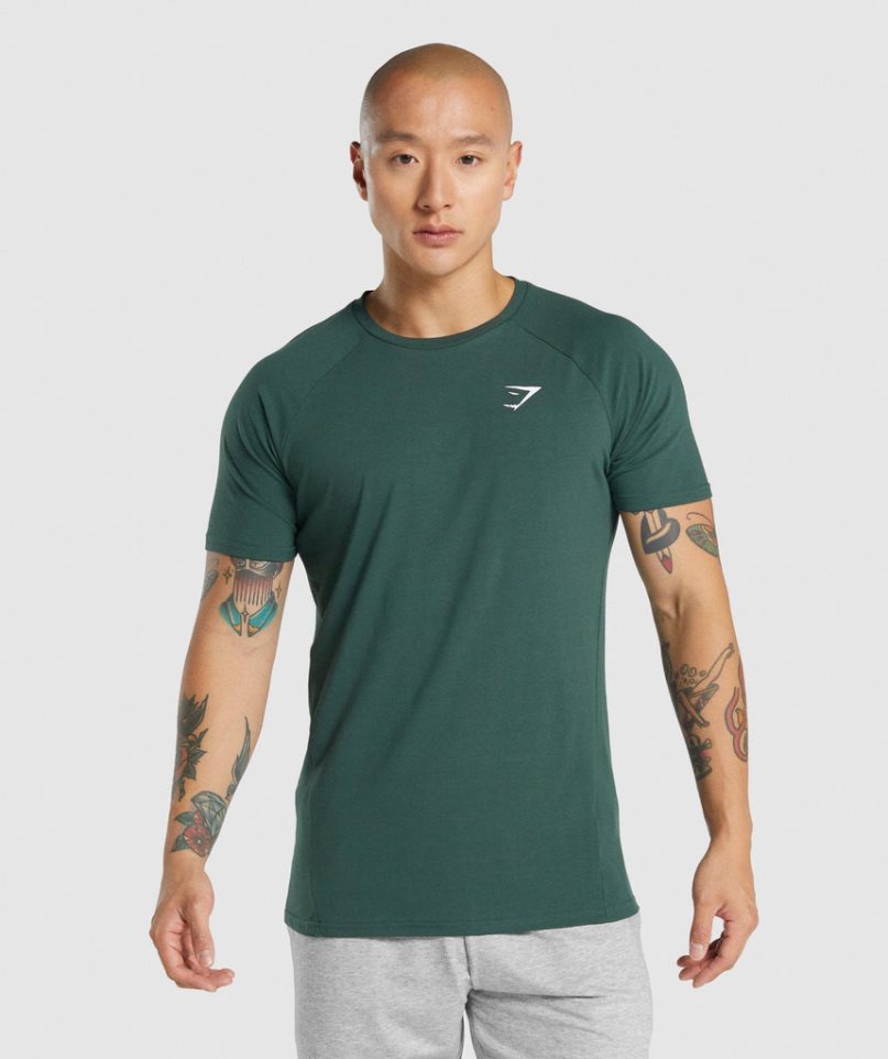 Camiseta Gymshark Critical 2.0 Hombre Verde Oscuro | ES8154-CO