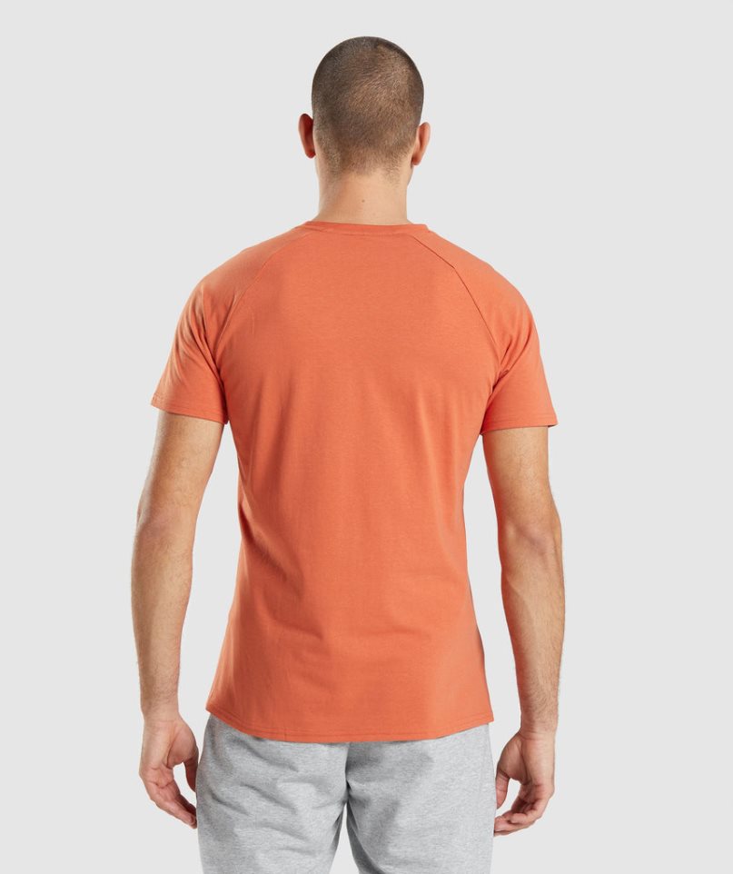 Camiseta Gymshark Critical Hombre Naranjas | ES9738-PJ