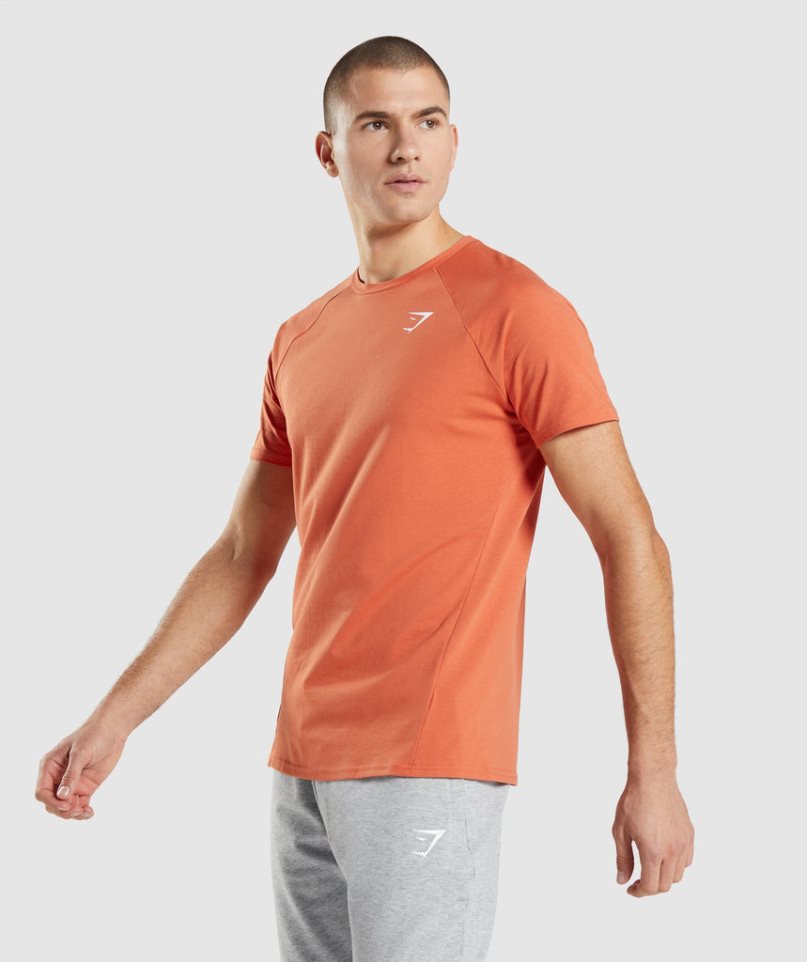 Camiseta Gymshark Critical Hombre Naranjas | ES9738-PJ