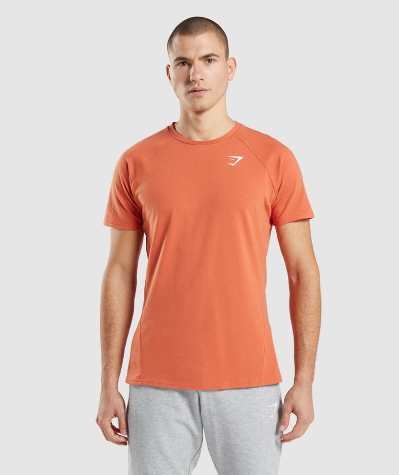 Camiseta Gymshark Critical Hombre Naranjas | ES9738-PJ