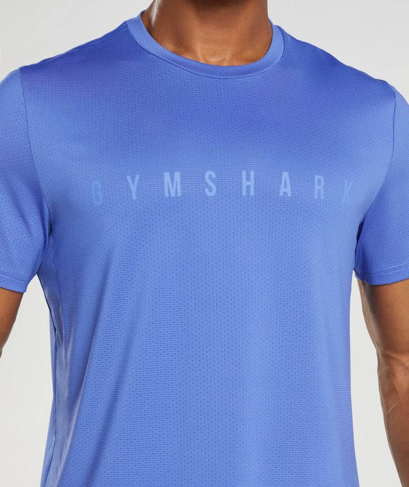 Camiseta Gymshark Deporte Stripe Hombre Azules | ES9875-CU