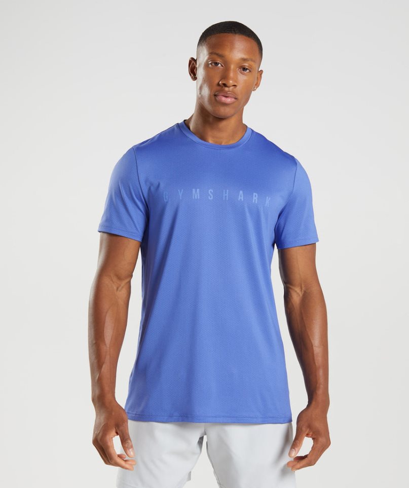 Camiseta Gymshark Deporte Stripe Hombre Azules | ES9875-CU