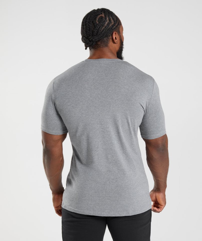 Camiseta Gymshark Essential Hombre Gris | ES0451-JB