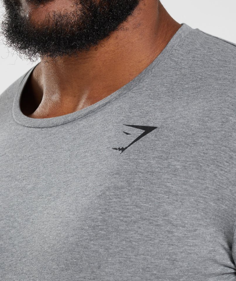 Camiseta Gymshark Essential Hombre Gris | ES0451-JB