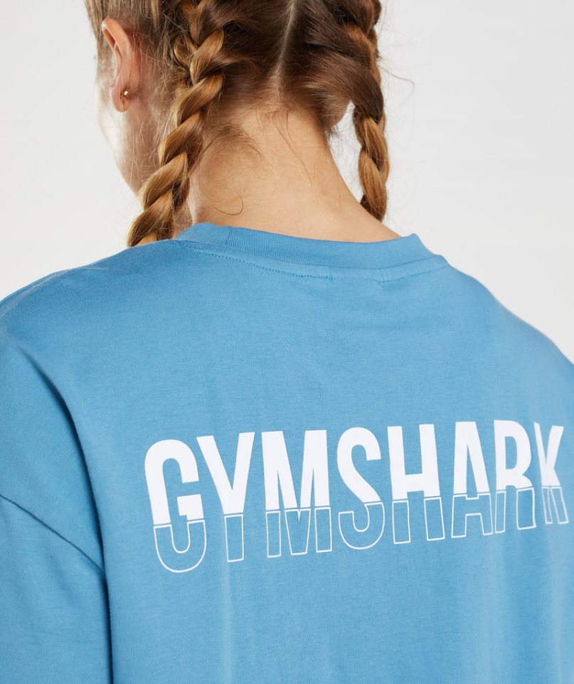 Camiseta Gymshark Fraction Oversized Mujer Azules | ES2405-TC