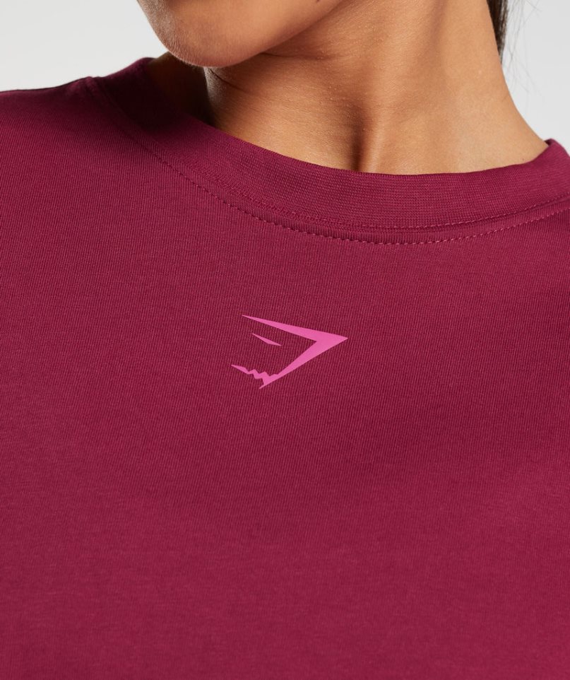 Camiseta Gymshark Fraction Oversized Mujer Fucsia | ES4073-GW